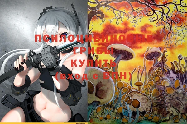 герыч Бородино