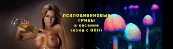 герыч Бородино