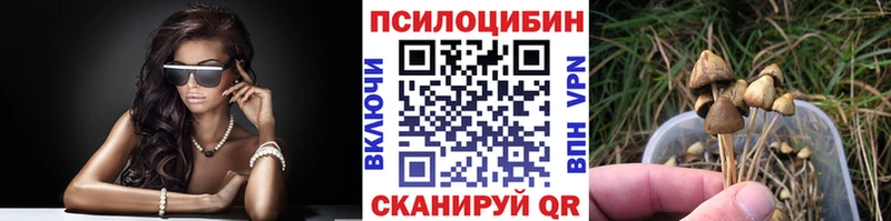 Купить закладки  Первомайск  Псилоцибиновые грибы прущие грибы 